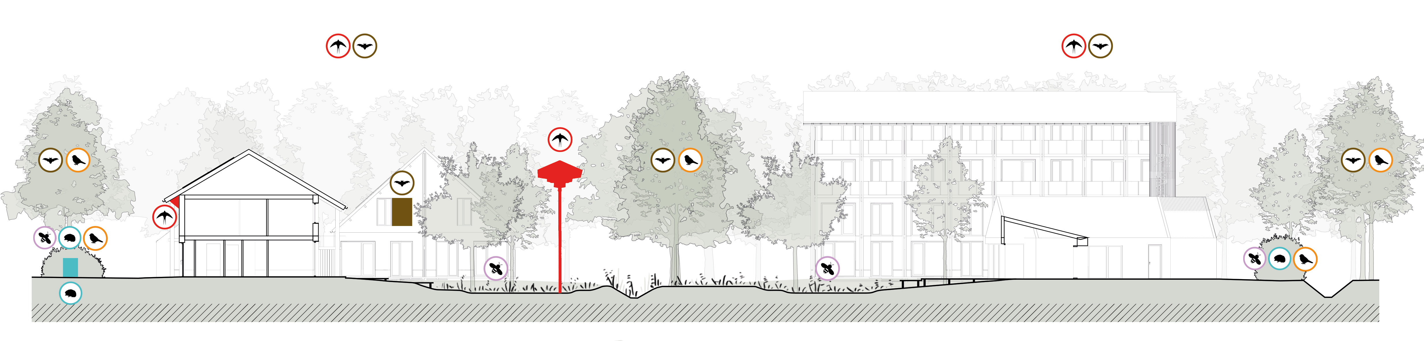 20251218 doorsnede bpr groen natuurinclusieve maatregelen