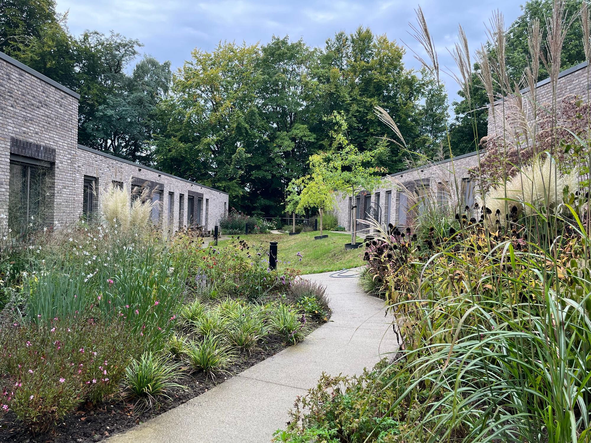IAA Elver excursie Veluwe Kemperbergerweg