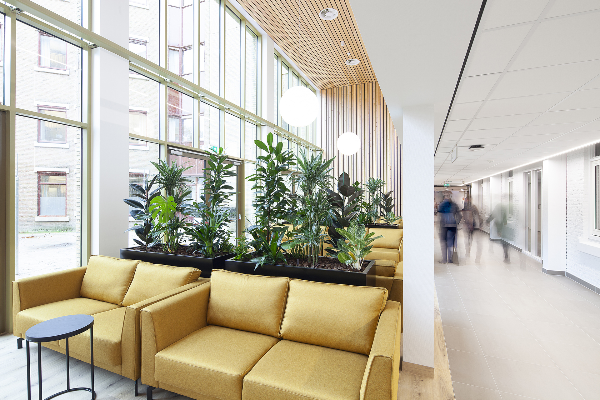 IAA Harderwijk St Jansdal hal