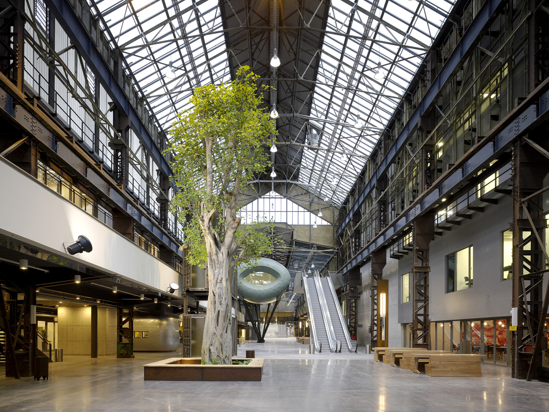 IAA ROC van Twente binnen boom