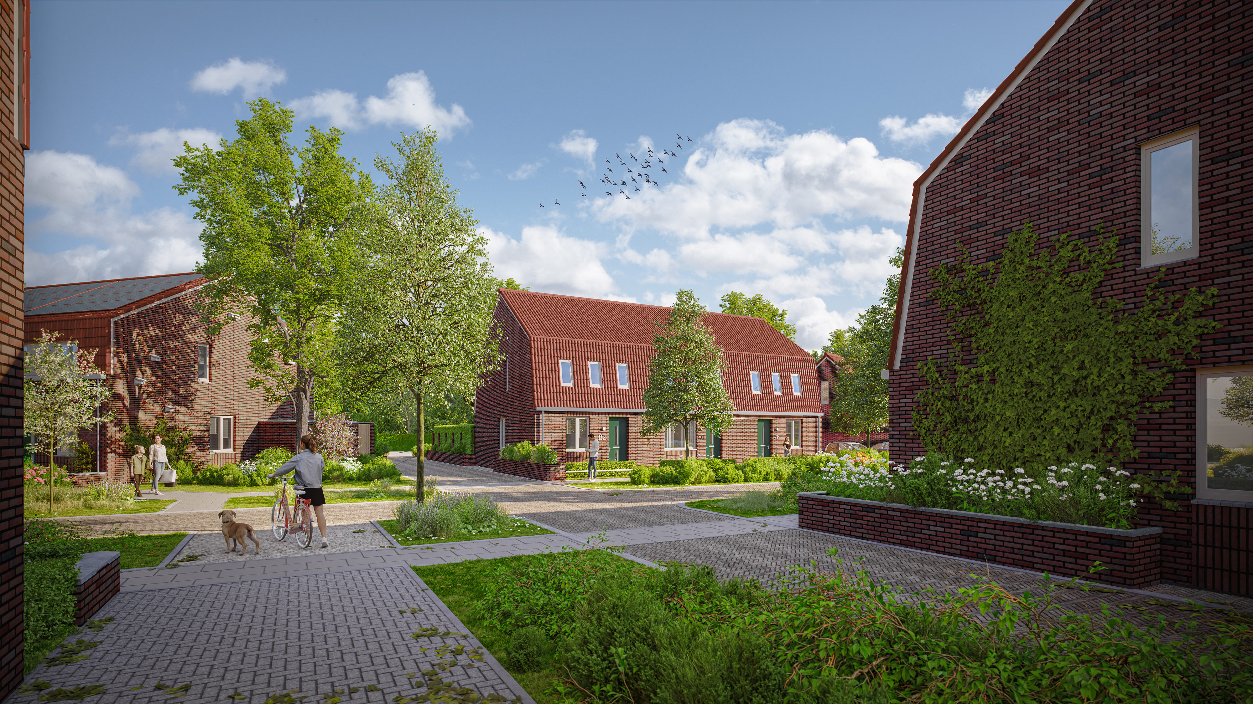 IAA Zwarteland Haaksbergen impressie 2