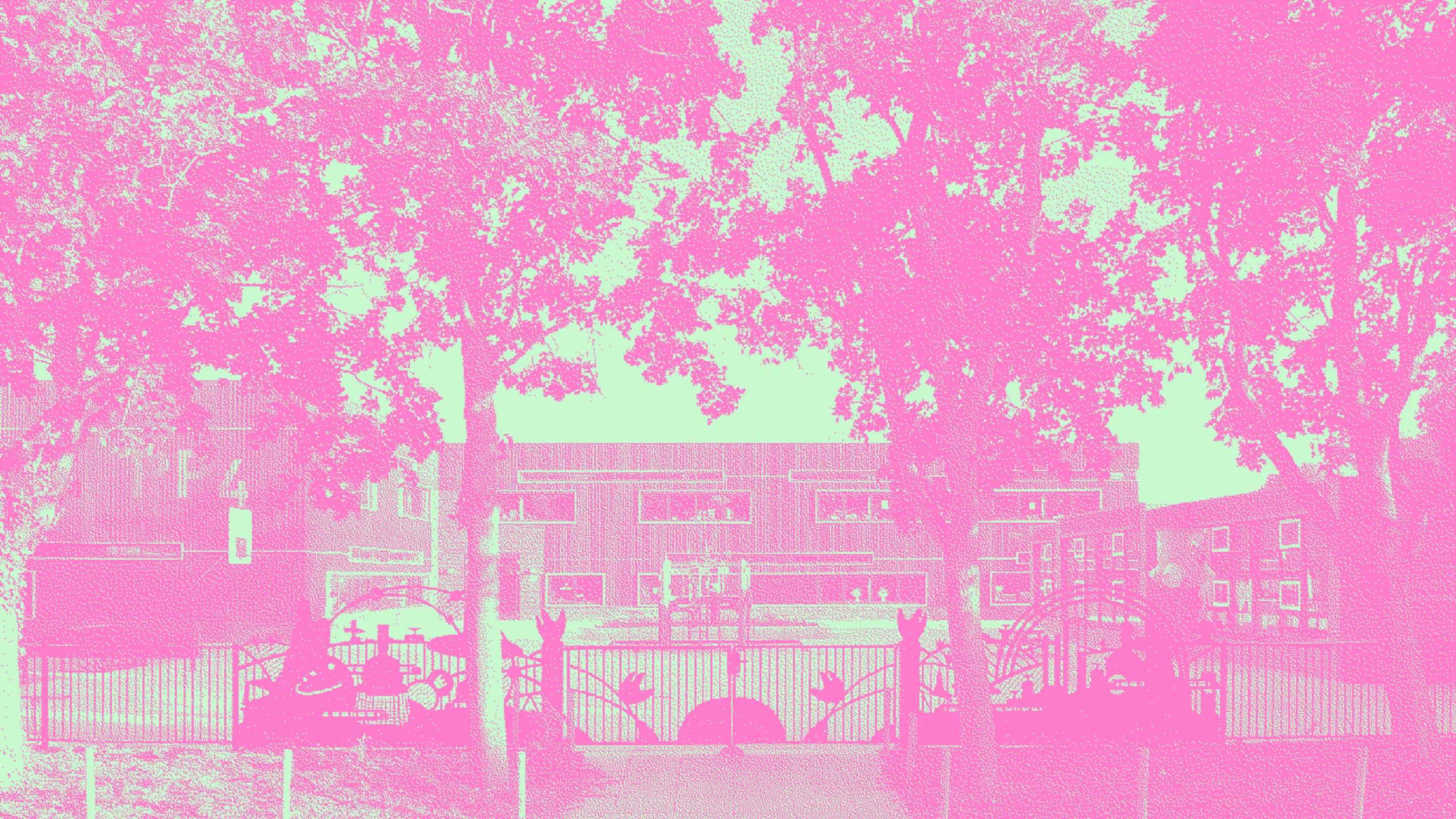 Bitmap paulus potter IAA kleur