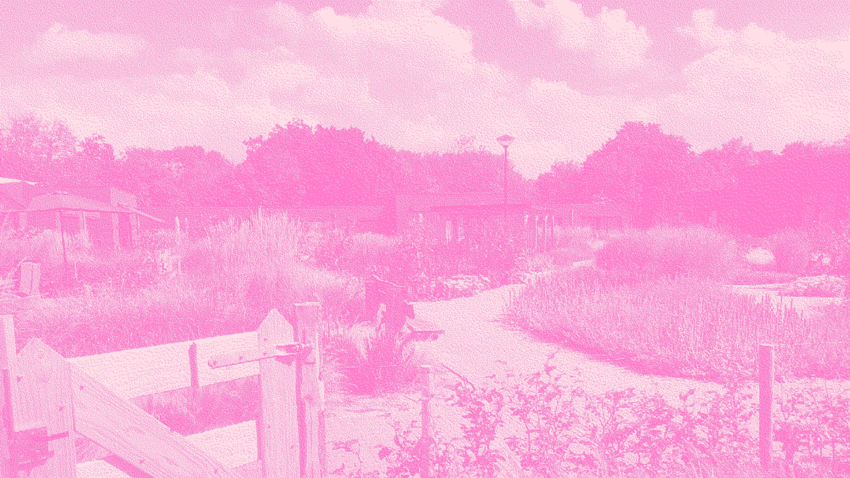 Bitmap sheerenloo iaa noordwijk tuin kleur