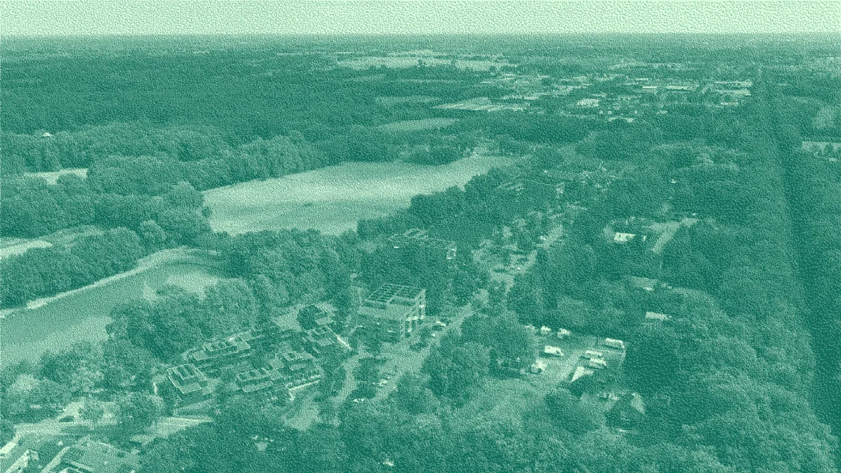 Bitmap Telgendijk kleur