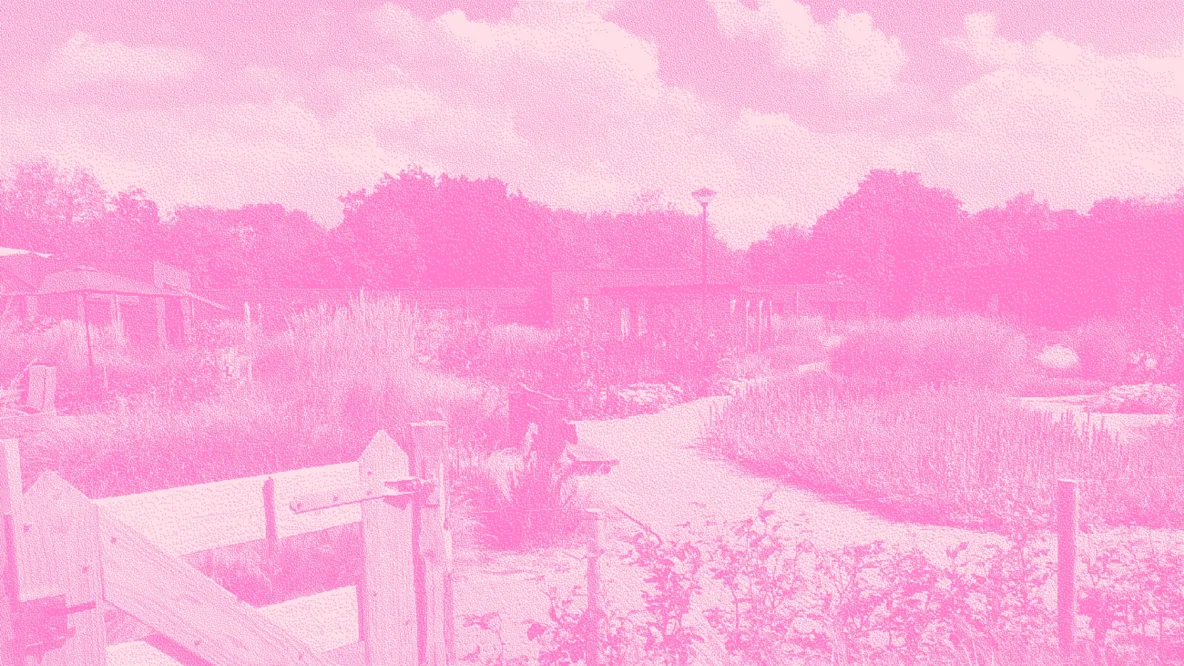 Bitmap sheerenloo iaa noordwijk tuin kleur