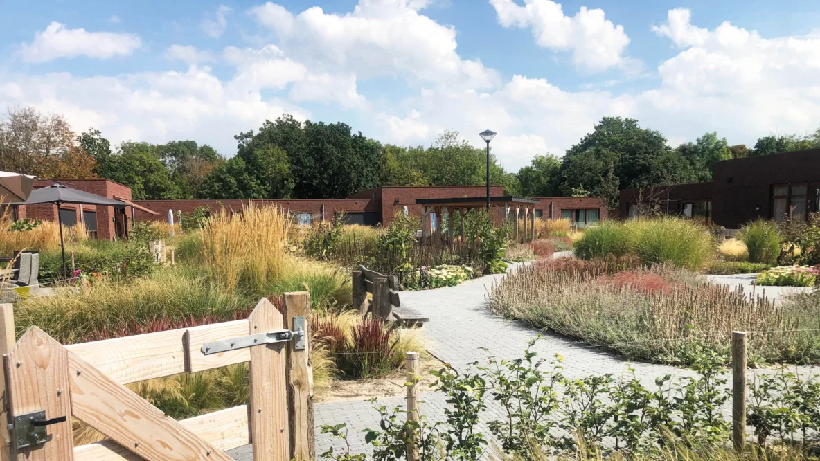 Home sheerenloo iaa noordwijk tuin