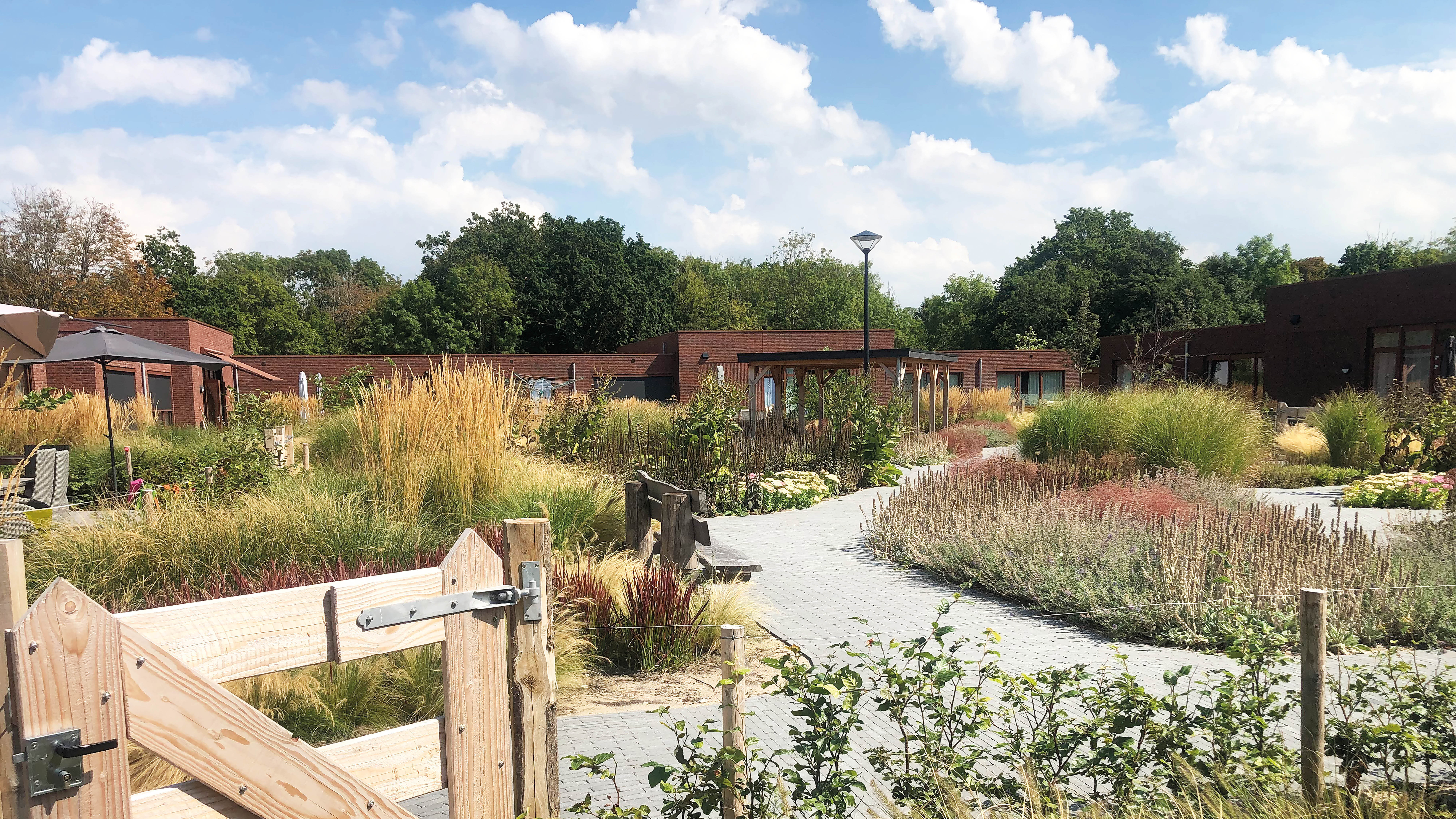 Home sheerenloo iaa noordwijk tuin